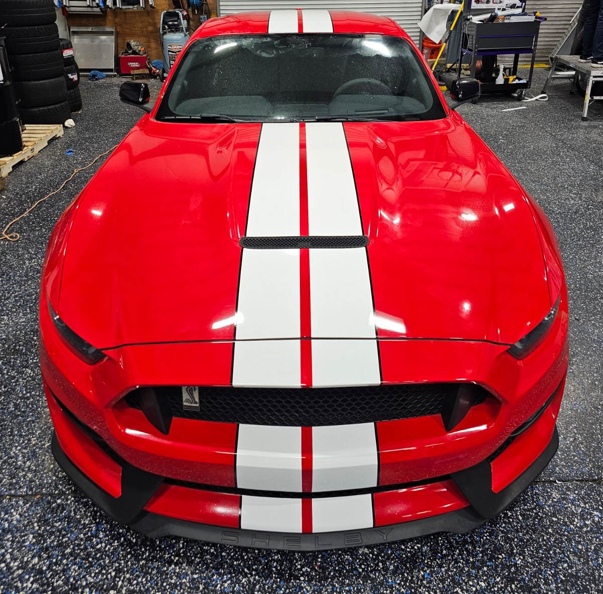 Racing Stripes Reloaded: The Allure of Vinyl Racing Stripes- WRAPS DIRECT